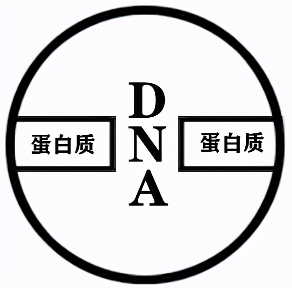 讓日本人求饒的肛拭子檢測，中國人都不忍直視