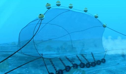 海洋荒漠化数十万渔民二十年过度捕捞舟山渔场会死吗