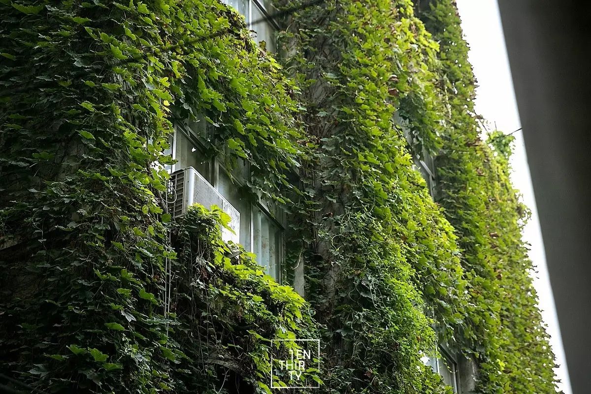 羡慕每个住过风光村的人，毕竟这是武汉最接近