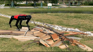 冲上热搜的这款国产“阿法狗”，究竟是什么来头？