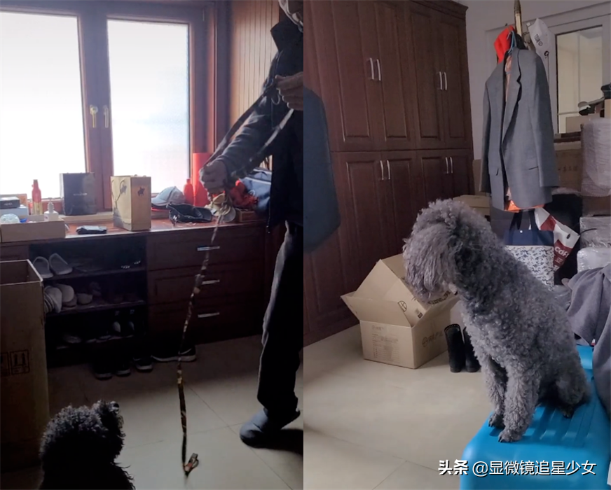 66岁冯巩豪宅内景曝光，又出洋相：离开春晚2年