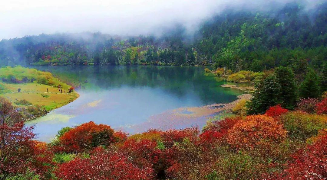 Missing these 14 maple viewing areas in November is equivalent to missing the entire autumn