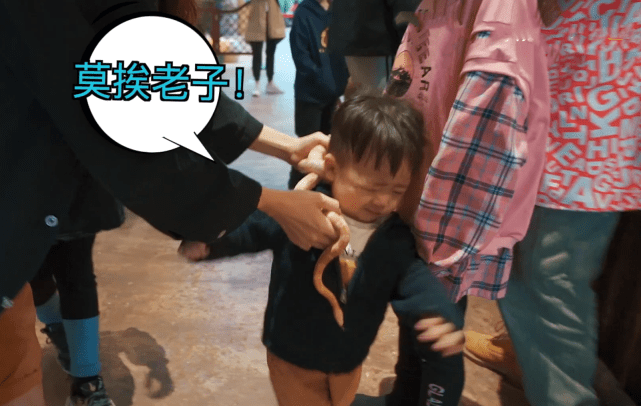 蔡少芬张晋携儿女喂流浪猫，一家五口幸福同框，鱼蛋小奶音超萌