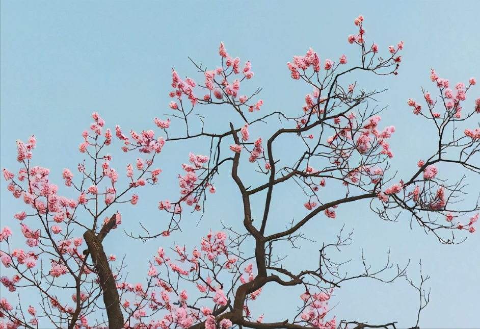 五月发朋友圈的温暖治愈小文案 2021适合五月的干净朋友圈句子