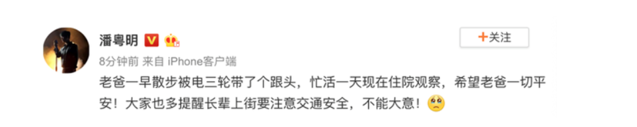 潘粤明发文父亲散步被车撞，十年绿叶衬红花，不低头的人生向光明