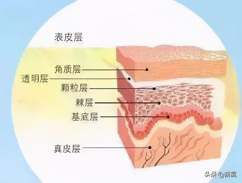 女明星们的好皮肤，当真是得益于戒糖吗？