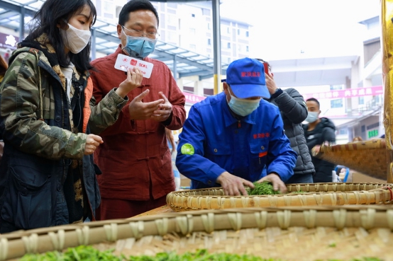 四川名山：春暖茶香 如约而至 2021年第一背篓蒙顶山茶清新上市