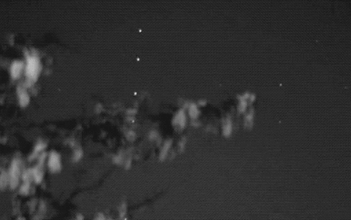 马斯克群发卫星造天文奇观，未来三天厦门、西安等全国多地可见