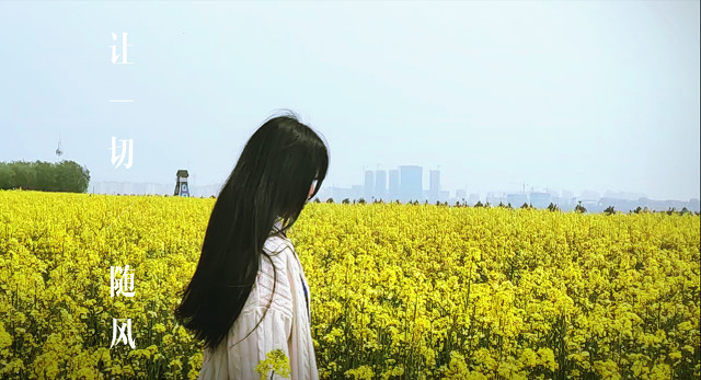 自媒体新手小白，必须知道的流程，让你少走弯路