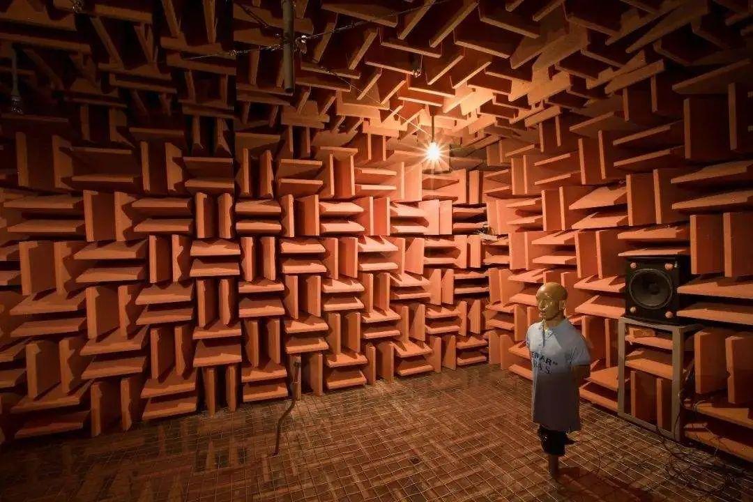 British celebrities challenge the Guinness record and spend