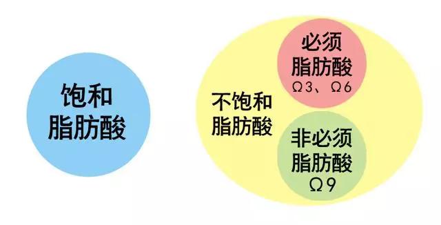 終於明白不飽和脂肪酸的好處了，作用堪比降脂藥物