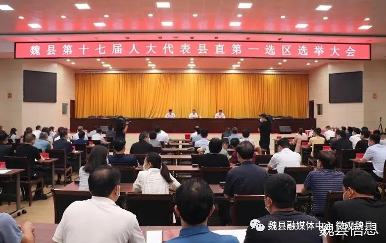 邯鄲：蘇雷芳參加魏縣人大代表換屆選舉投票