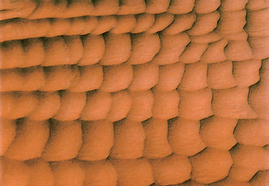 塔克拉玛干沙漠，中国最大的沙漠才不是“死亡之海”！