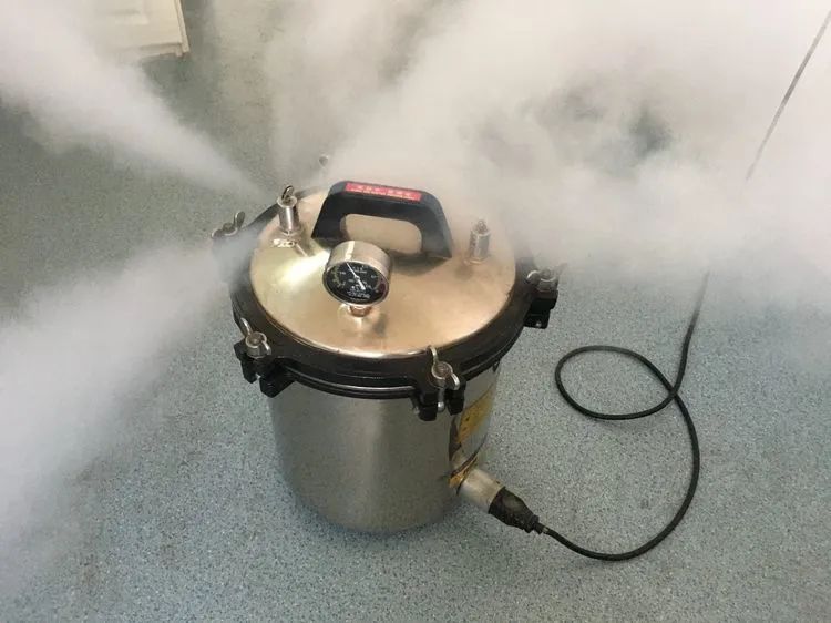 北極寒潮來襲，大海沒冰凍還“沸騰”了，大連青島現“海浩”奇觀