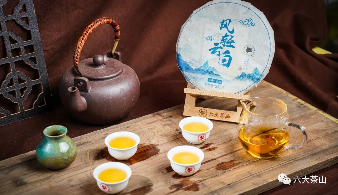 六山积极配合云南省白茶团体标准制定工作,助力云南白茶产业发展