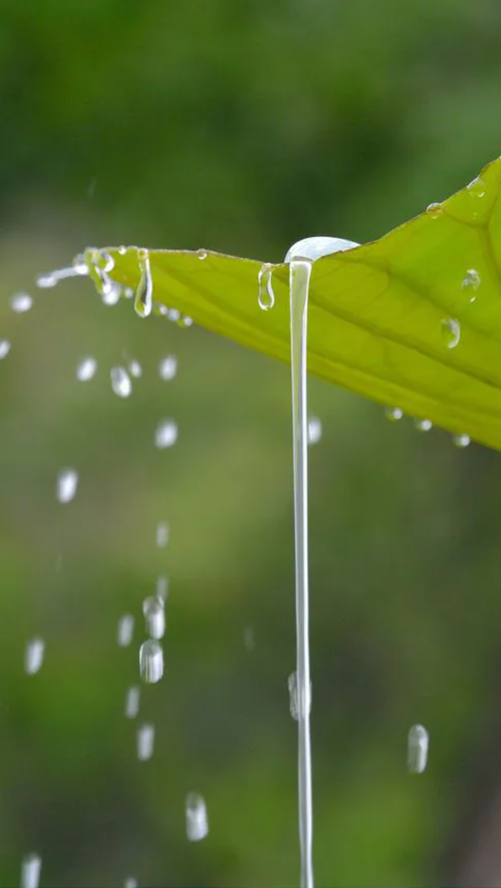 有关小雨的诗词，让小雨驱散夏日的炎热-第5张图片-非凡网