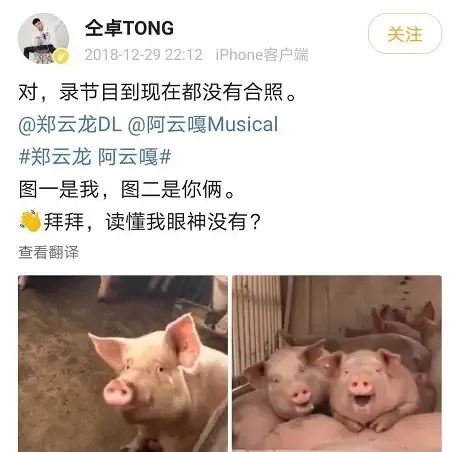 拉踩郑云龙、姚晨，在“仝言无忌”的背后，我看到了人性之恶