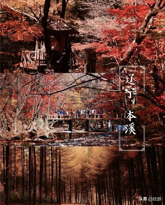 October is the most worthwhile travel. These places have the most beautiful maple leaves and are also the best shooting locations