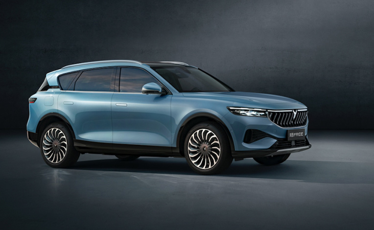 性能级智能电动SUV岚图FREE，能在中大型高端SUV市场分一席之地吗