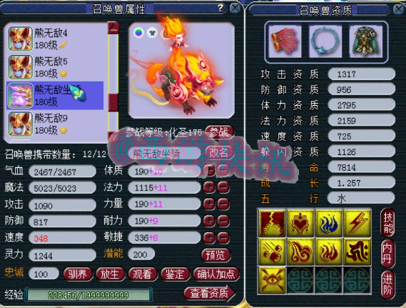 梦幻西游：服战顶级辅助，千万神豪熊无敌化生寺硬件展示