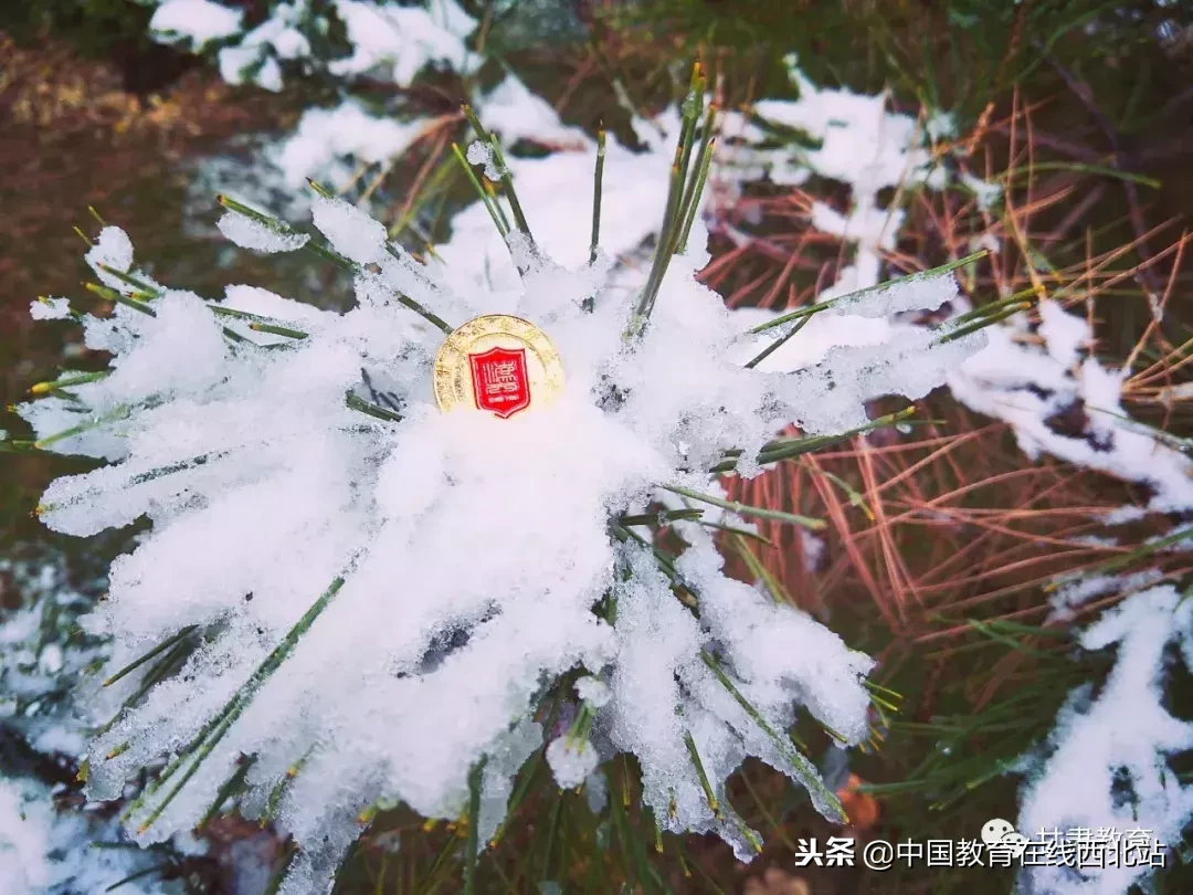 甘肃初雪|甘肃18所高校初学雪景大PK,快来看看有你的母校没?