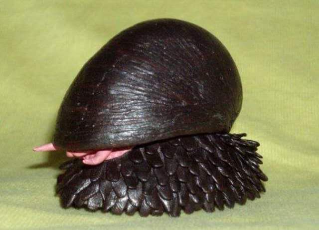 "铁甲海蜗牛":吸收海矿变身"铁甲&qu