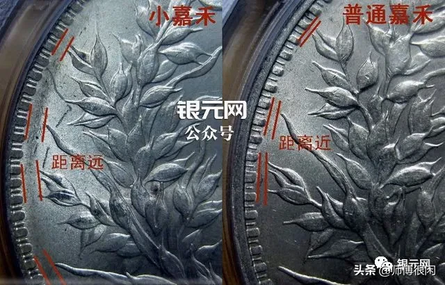 三年小嘉禾版又称三年九背