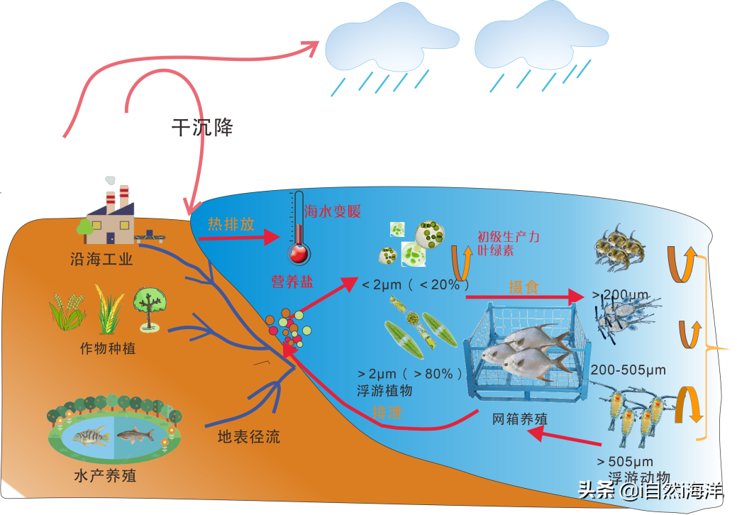 揭秘海灣生態(tài)的前世今生