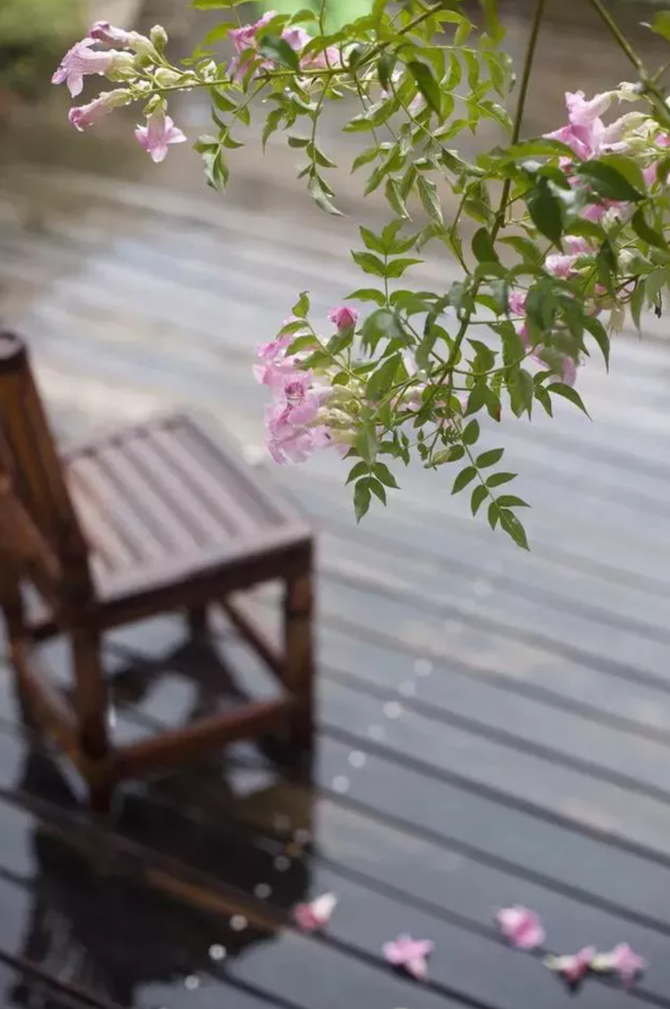 有关小雨的诗词，让小雨驱散夏日的炎热-第19张图片-非凡网