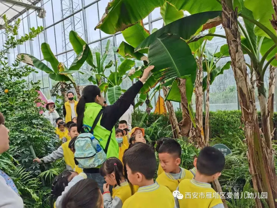 ����عˡ����ն��׶�԰�а�����ѧ��ʵ�߽���δ��