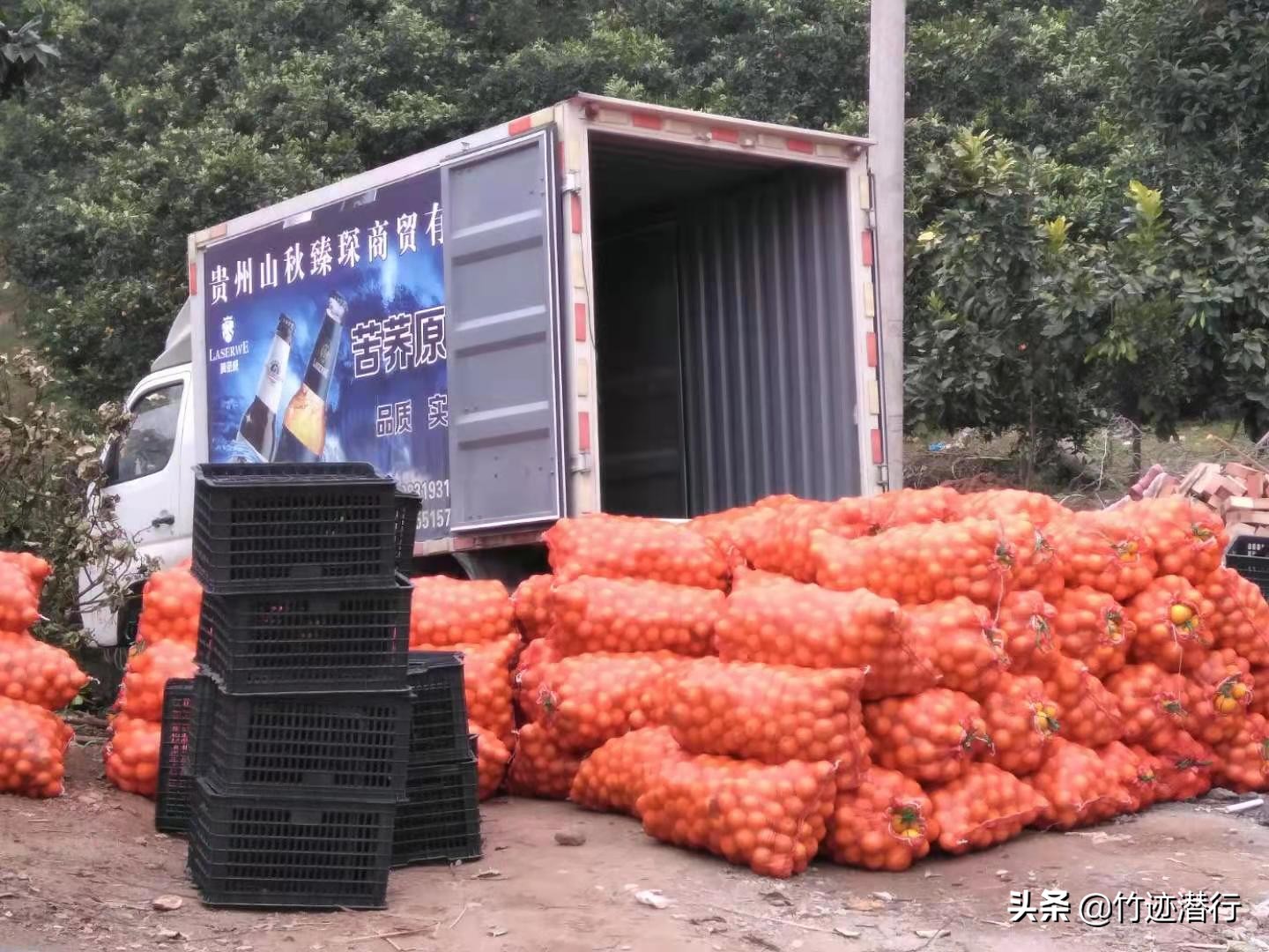 登錄查看大圖