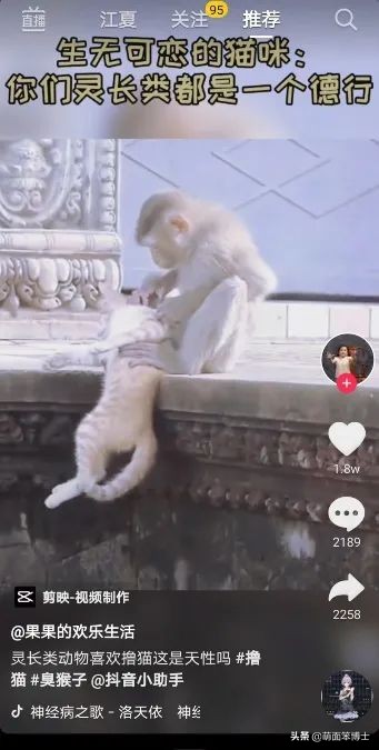 流量时期的抖音营销，其实你可以这样做