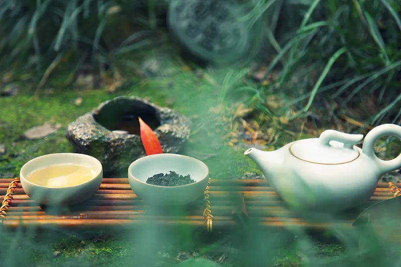 处暑 | 暑去又一秋,珍待此时心