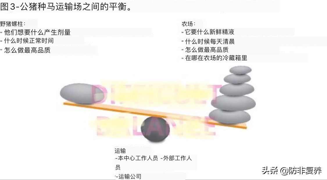 看国外精液配送：从公猪站到母猪场，如何运输