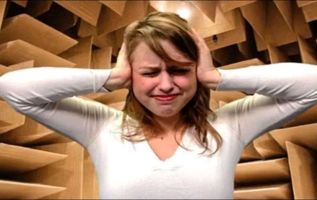 世界上最安静的房间，独处1小时奖励1千美金，却无人敢挑战？