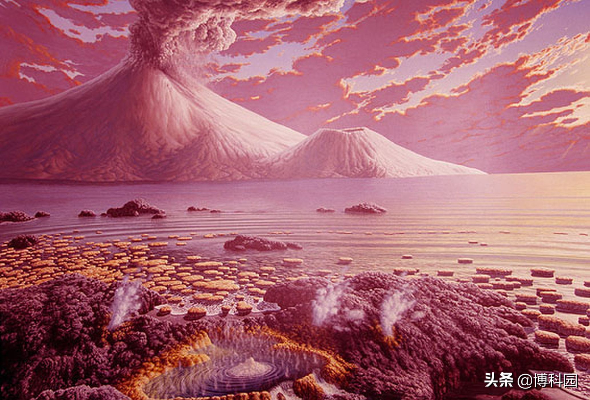 这块21亿年前的化石是最早移动生命形式的证据？