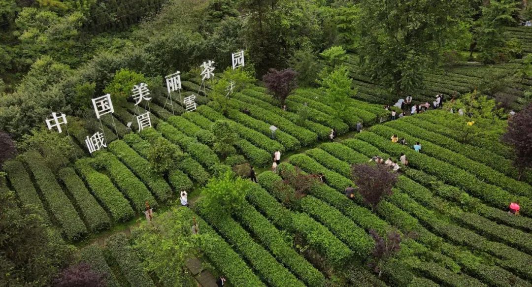 “迪粉”线上重拳出击，线下又是什么样？