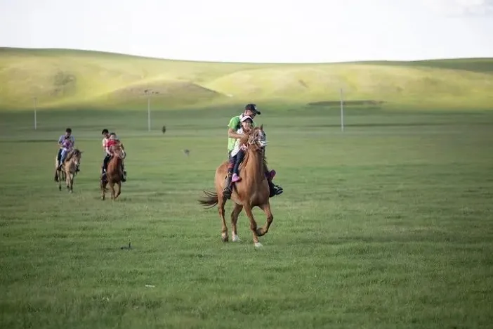 Repelling the scorching summer grassland paradise, Hulunbuir travels the most beautiful route, parent-child vacation praises