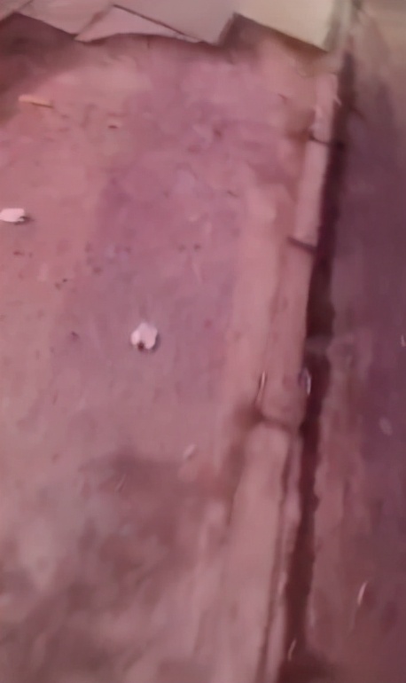 Deserve you are red! Zhu Zhengting is followed to be enraged bask in video Diss, 2 detail reveal moral quality