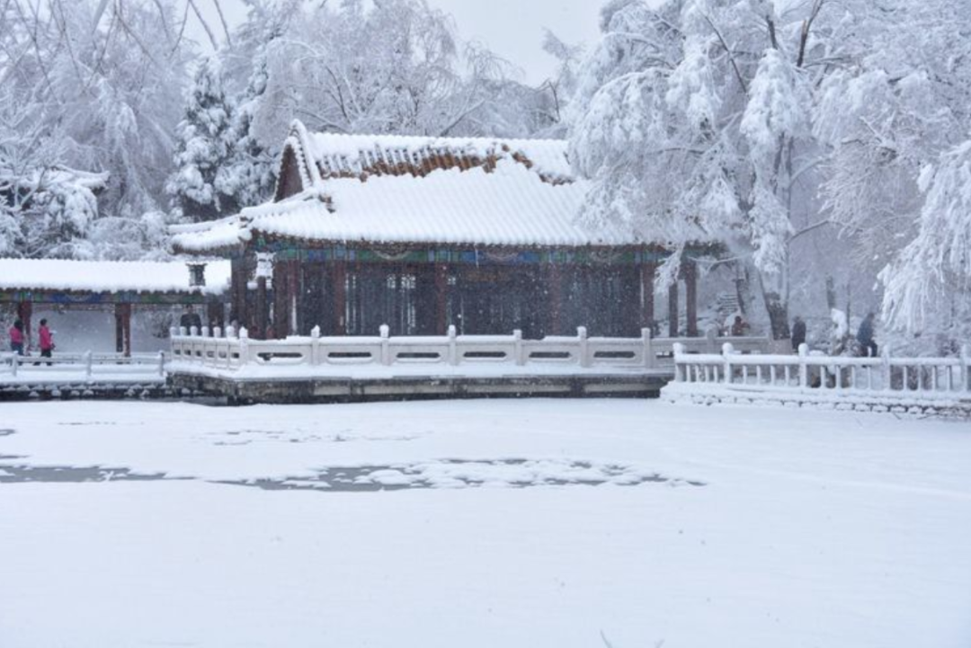 遇见最美的冬天，遇一场雪，在最美的诗词里遇雪-第2张图片-非凡网