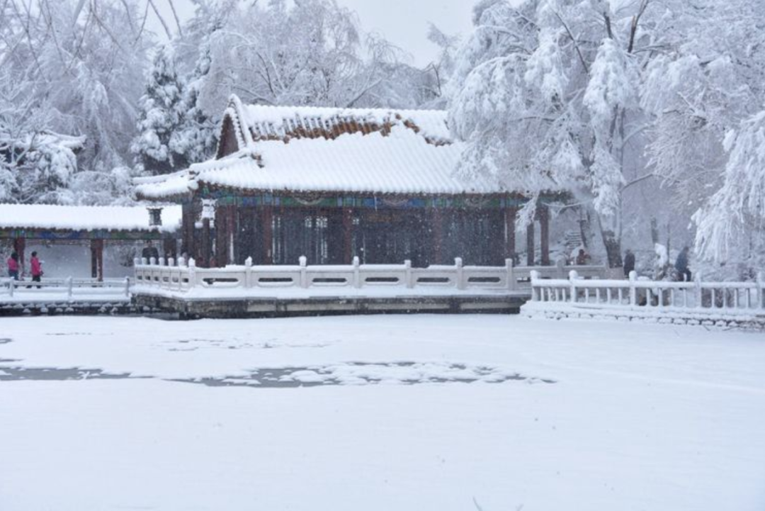 遇见最美的冬天，遇一场雪，在最美的诗词里遇雪-第2张图片-诗句网