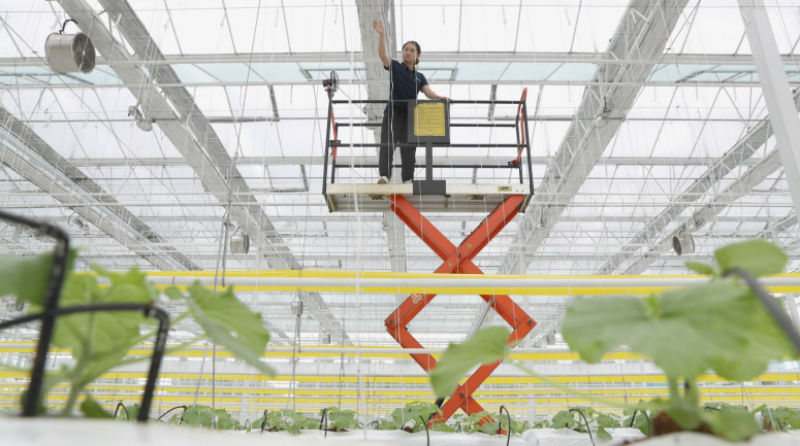 探索乡村振兴成功之道