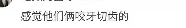歡樂頌新五美首同框，互動尷尬被指不熟，江疏影楊采鈺比美引爭議