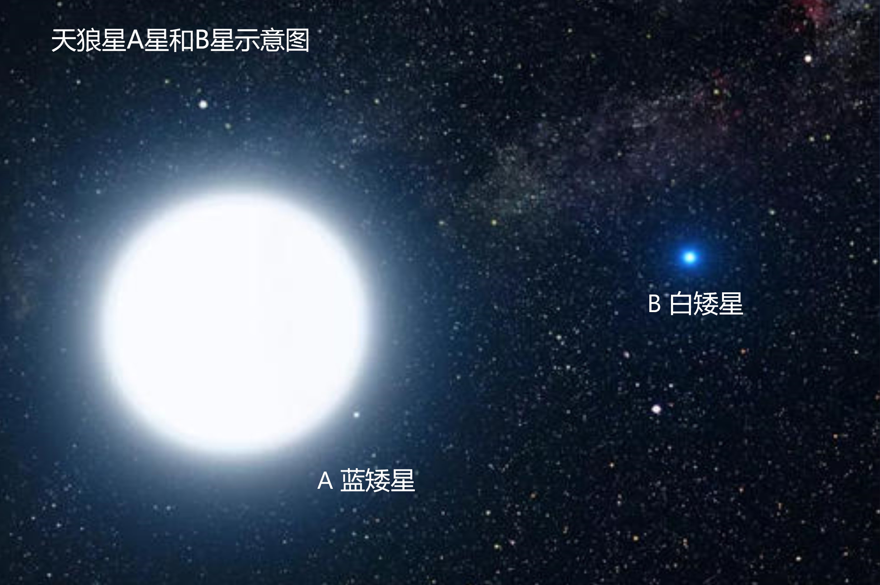 白矮星不断吞食伴星物质，增加自身质量，为啥体积反而变小呢？