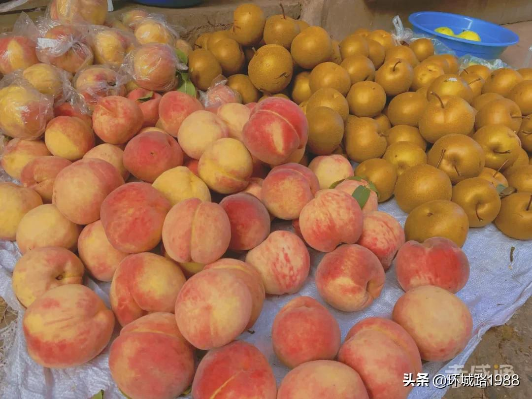 这里是,杨店