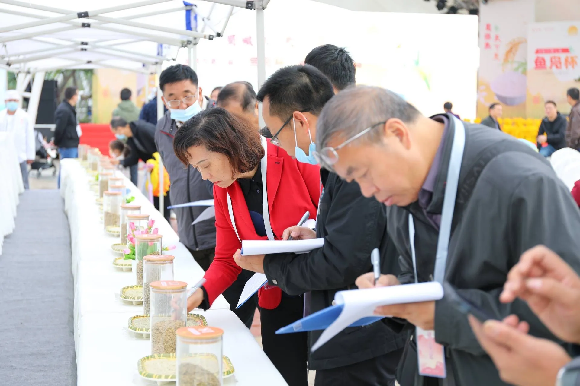 成都市第七届“鱼凫杯”优质稻米品选结果出炉，35个稻米品种获奖