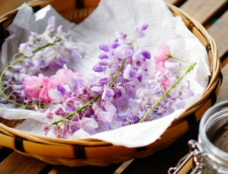 图片[2]-蒸紫藤花的方法： 好吃还饱腹-起舞食谱网
