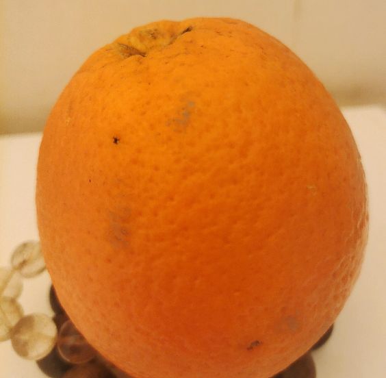 Introduce a traditional Chinese medicine with antitumor activity