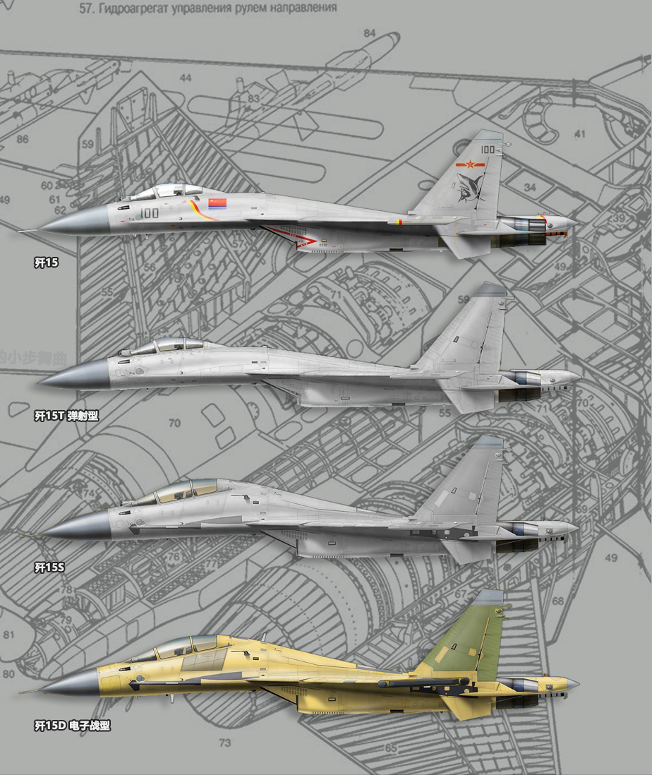20种，中国苏27原来这么多，歼11歼15歼16就有14型