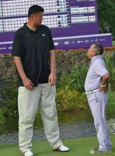 “身高检测器”姚明与众星合影：黄晓明让人意外，韩红小鸟依人